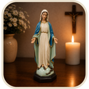 Imagem Nossa Senhora das Graças com Olhos de Vidro e Auréola 65cm em Resina®