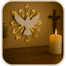 Divino Espirito Santo de Parede Adesivado 20cm®